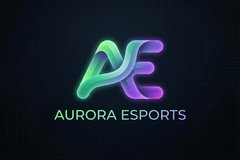 糖心vlog合作品牌极光电竞